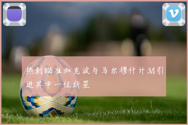 热刺瞄准加克波与马尔穆什计划引进其中一位新星
